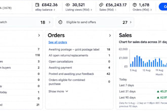 handle ebay product hunting, , orders and store management