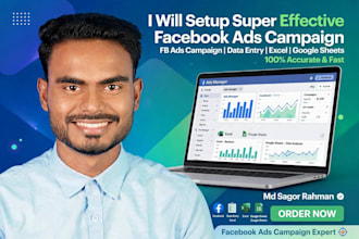 setup super effective facebook ads campaign and fb page promotion