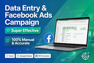 setup super effective facebook ads campaign and fb page promotion