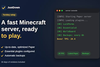 set up an optimized minecraft paper server for your host