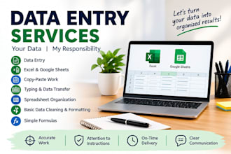 do accurate data entry in excel or excel sheets