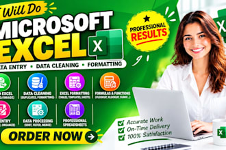 do manual data entry and organize excel spreadsheets