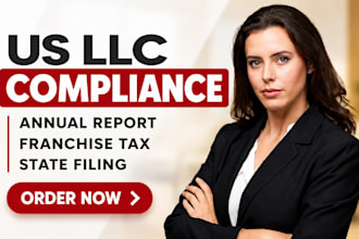 file your US llc annual report and maintain llc compliance
