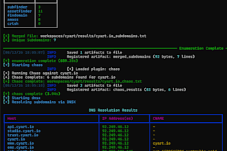 perform web application penetration testing