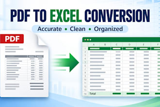 convert PDF financial records into clean excel spreadsheets