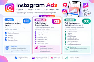 setup instagram ads campaigns for leads and sales