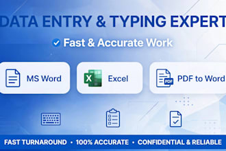 do data typing pdf to word excel word