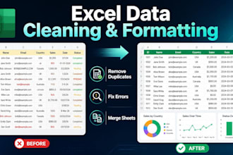 do excel data cleaning, formatting, and data merging