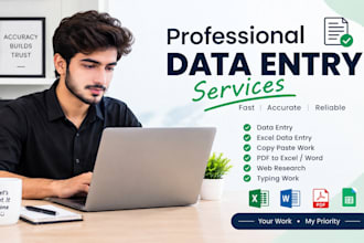 create professional excel spreadsheets and data entry
