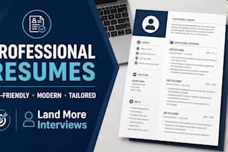 build you a professional CV