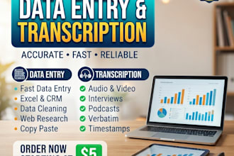 do accurate data entry, typing and transcription