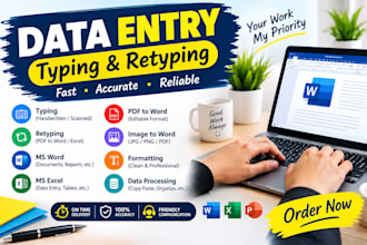do fast data entry , ms word document and fast typing