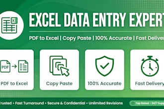 do excel data entry, pdf to excel, copy paste and typing work