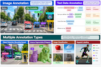 do accurate data annotation and labeling for ai and ml projects