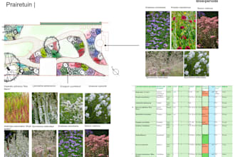 design your backyard or garden with planting and hardscape details