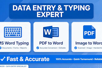 do fast data entry, ms word typing, and PDF to word typing