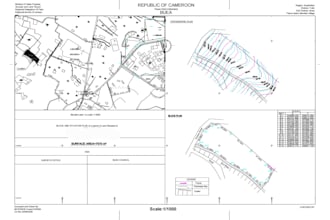 do land surveying, autocad drafting and topographic maps