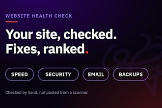 do a website audit for speed, security and email