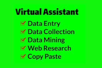 excel data entry word typing and ms office work