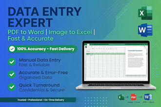 do data entry and excel work