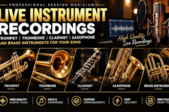 record trumpet, trombone, clarinet, saxophone, brass instruments for your song