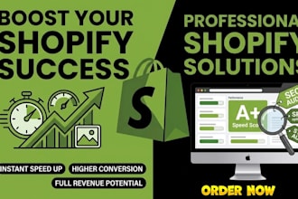 shopify store speed up with speed optimization, SEO audit, shopify store audit