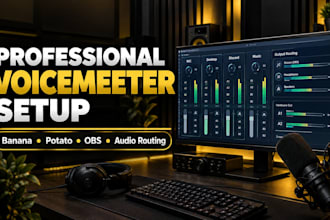 professionally set up voicemeeter banana or potato for obs streaming
