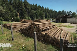 design a complete arma reforger server with experience base on loadout