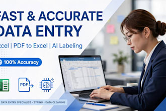 do accurate data entry, excel data cleaning and ai data labeling for your busine