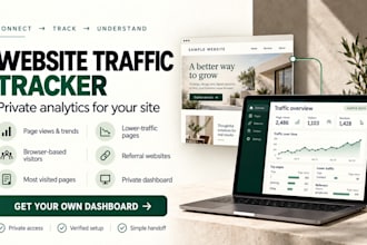 build a custom website traffic analytics dashboard