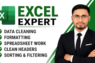 do excel data cleaning, formatting and spreadsheet work
