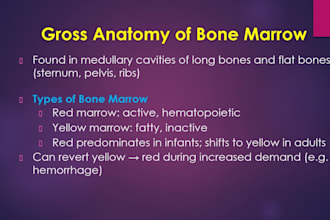 design professional medical and educational powerpoint presentations