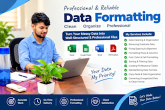do excel data formatting cleaning and use formulas in excel