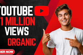 promote your USA youtube music video for 1 million views organic million views