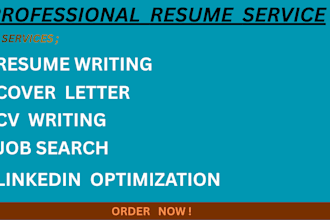 write a professional ats optimized resume