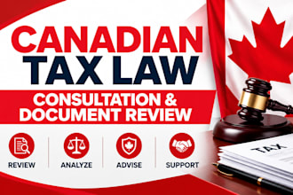 provide expert tax law consultation and review your tax documents
