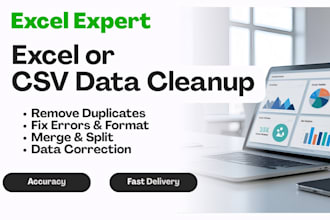 do excel or CSV data cleanup with formatting, merge and sorting