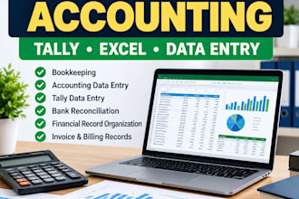 do professional bookkeeping, accounting and tally data entry
