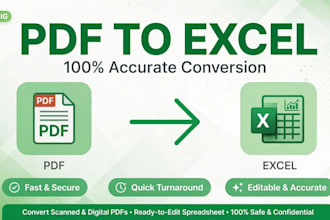convert PDF to excel and image to excel in 2 hours