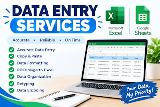 do accurate data entry, excel and google sheets work