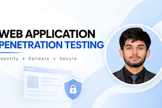 perform professional web application penetration testing