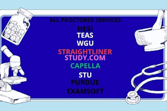 provide capella flexpath wgu umpi snhu academic support