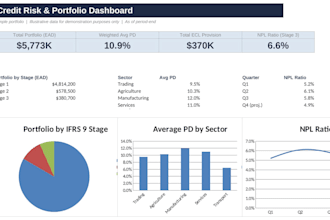 build a financial model or credit risk model in excel