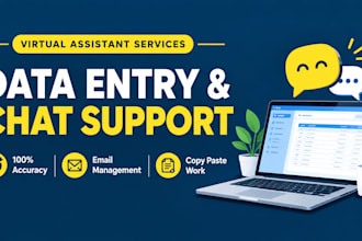 do professional data entry copy paste and chat email support