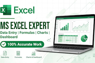 do ms excel work, data entry, formulas, charts and graphs