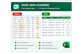 clean, format, organize and filter your excel data