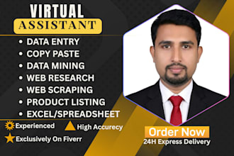 provide professional data entry, VA,spreadsheet management