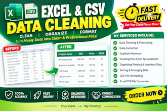 do excel data cleaning and formatting, CSV data cleaning
