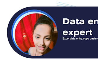 do  perfect data entry copy paste and web reserch