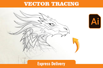 vectorize your hand drawn sketch or pencil drawing